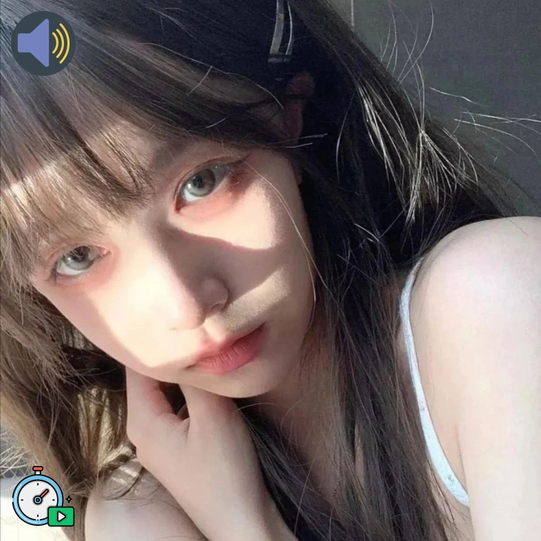北纬用户